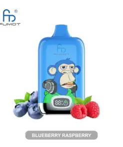 RANDM-Digital-12000-Blueberry-Raspeberry