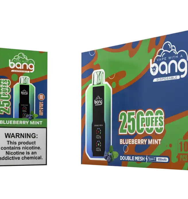 bang-25000-25k-puffs-Blueberry-Mint-scaled.