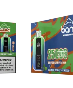 bang-25000-25k-puffs-Blueberry-Mint-scaled.