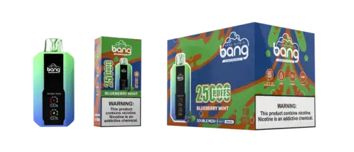 bang-25000-25k-puffs-Blueberry-Mint-scaled.