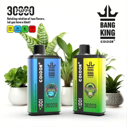 bang-king-30000-puffs