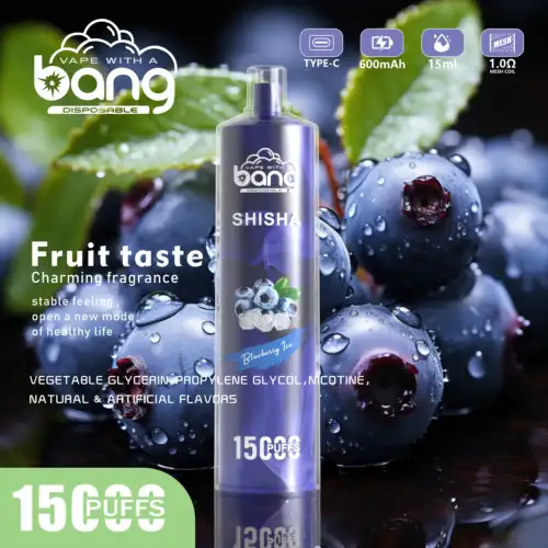 bangrandm.de bang shisha 15000 puffs