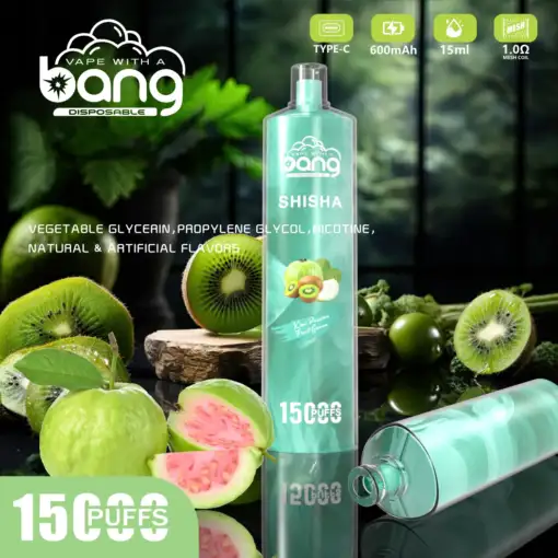 bangrandm.de bang shisha 15000 puffs