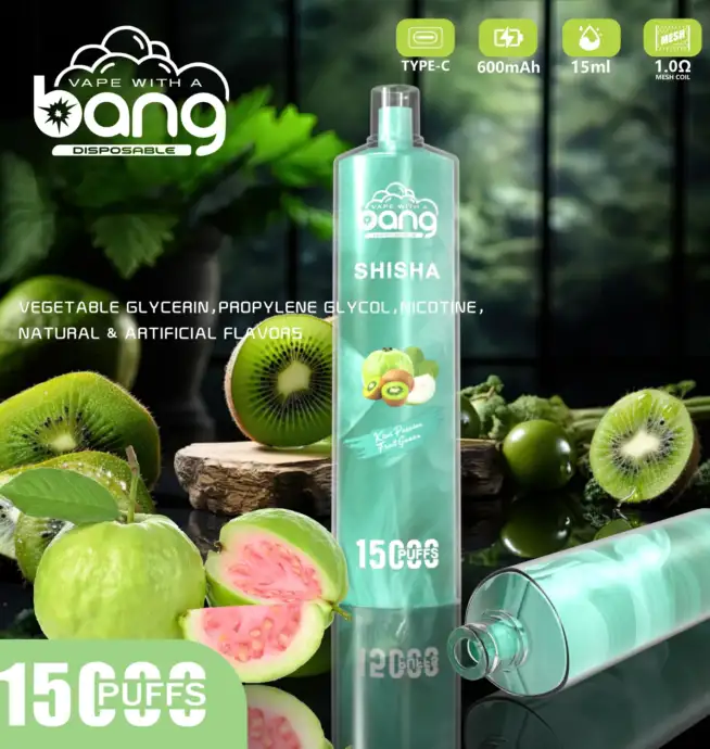 bangrandm.de bang shisha 15000 puffs